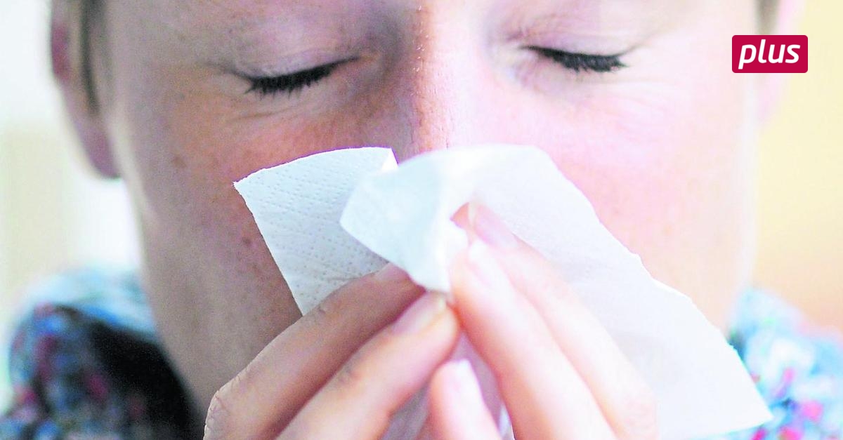 Heppenheim Wohin, wenn die Nase läuft?