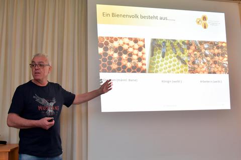 Lehrbeauftragter Stefan Hillenbrand erläutert, welche Arbeiten im Verlauf des Bienenjahrs zu tun sind. Dagmar Jährling