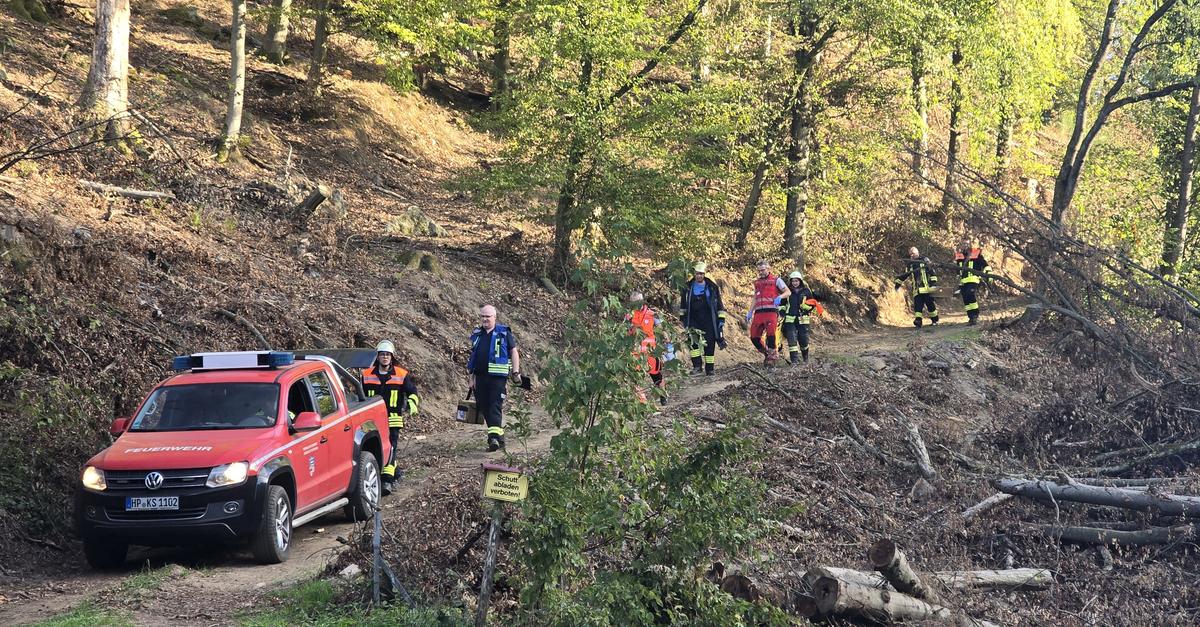 Complicated rescue: Man injured after accident in Heppenheim forest