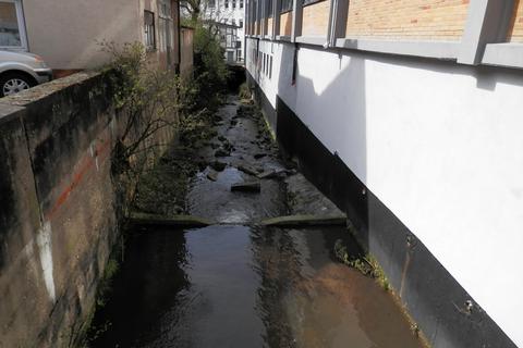 Der Stadtbach an der Tugersmühle: Nicht allein für Heppenheimer Müller war der Bach lebensnotwendig. Foto: Hermann Müller