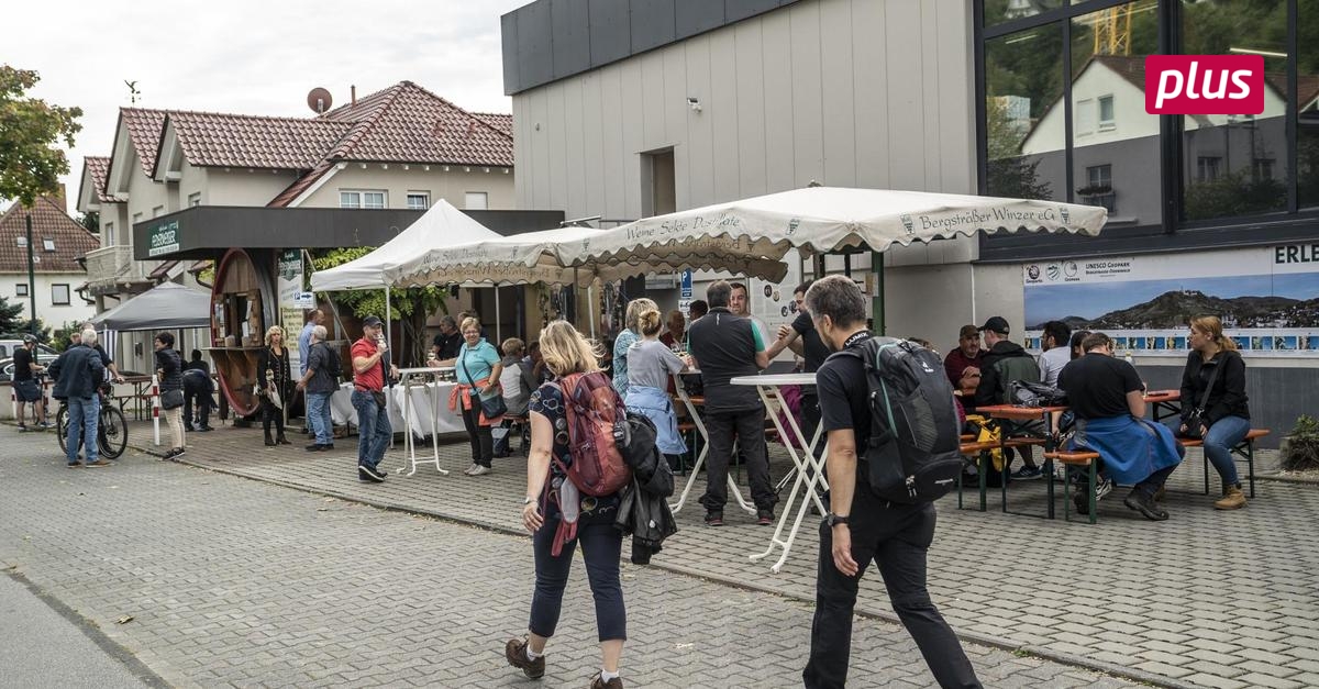 heppenheim-wein-und-wandern-bei-jedem-wetter-echo-online