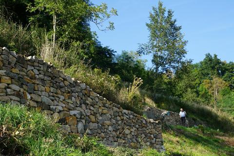 Nicht nur attraktiv: Die sanierten Trockenmauern am Schlossberg, im Hintergrund Nabu-Vorsitzender Günter Hagemeister. Jürgen Reinhardt