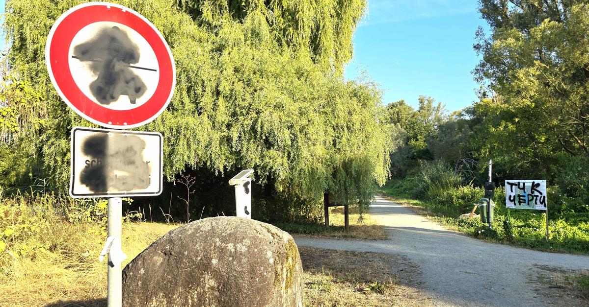 Vandalism at Bruchsee: City of Heppenheim plans to file charges after ...