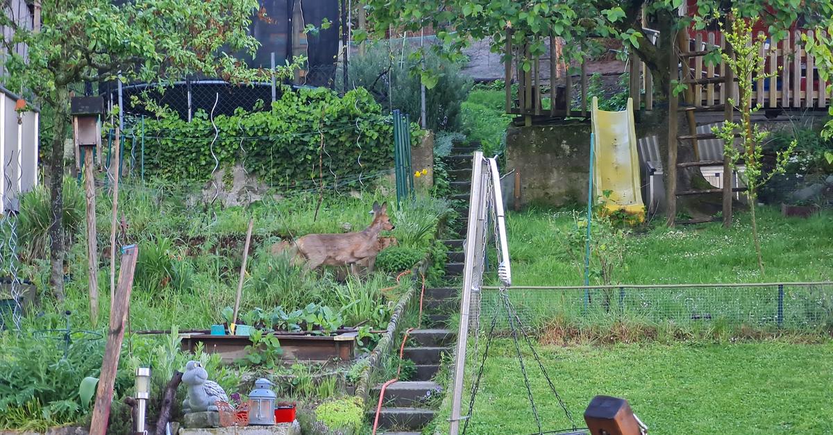 Bensheimer Weg 12, 64646 Heppenheim – Heppenheim Bensheimer Weg – OZMEBX