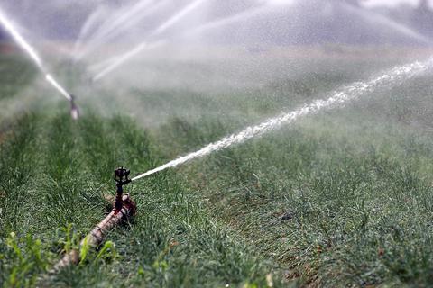 Extrem trockene Phasen können Landwirte im Ried nur mithilfe künstlicher Bewässerung überstehen. Archivfoto: dpa