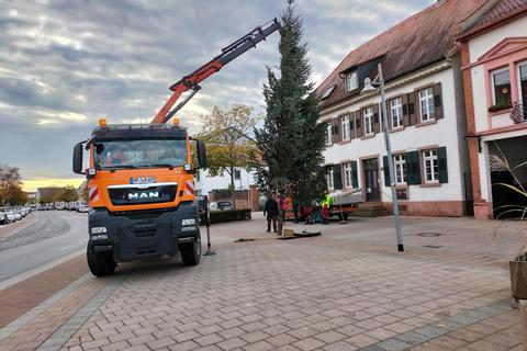 In Lampertheim werden schon erste Weihnachtsbäume aufgestellt. © Helmut Kaupe