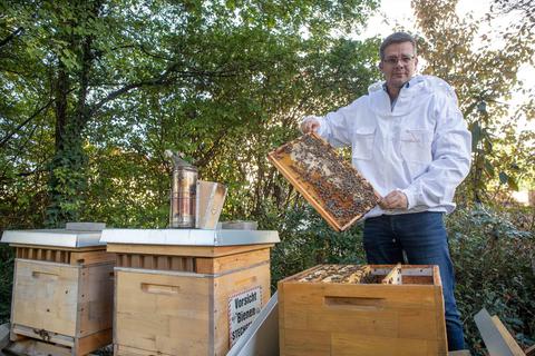 Markus Reitz imkert seit rund 16 Jahren in Lampertheim. Seine Bienenvölker leben in der Stadt verteilt, wie hier bei der Martin-Luther-Gemeinde. © Thorsten Gutschalk