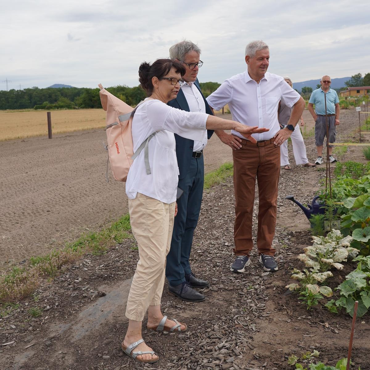 Obst und Gemüse anbauen in Mietgärten in Einhausen