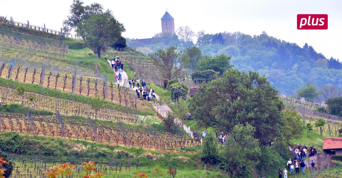 Die Bergstraße feiert den neuen WeinJahrgang