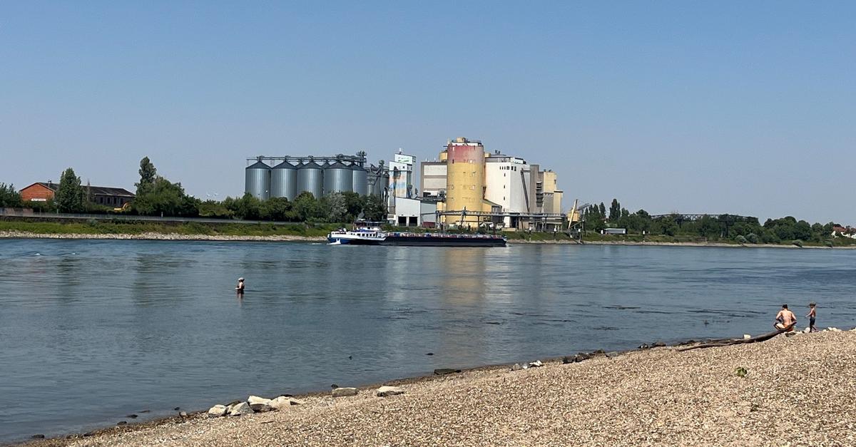 Tödliche Gefahr ignoriert: Schwimmer riskieren Leben im Rhein