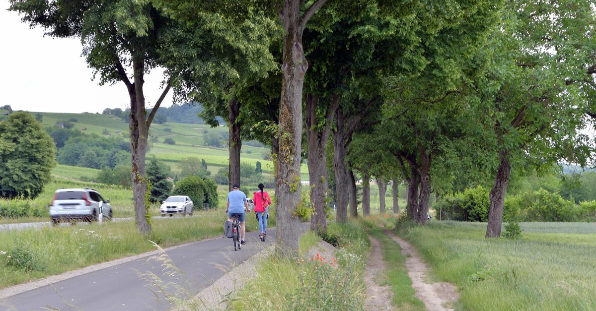 The B3 cycle path between Bensheim and Heppenheim is finished: This is how ...