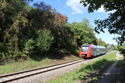 Eine Regionalbahn fährt zwischen Rimbach und Zotzenbach auf der Strecke der Weschnitztalbahn. Doch aktuell nur im Schülerverkehr.