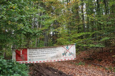 Wie soll der Rimbacher Wald (hier unweit des Parkplatzes Tränke) in den nächsten zehn Jahren bewirtschaftet werden? Mit dieser Frage beschäftigen sich die Rimbacher Gremien.