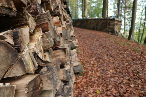 Brennholz ist angesichts steigender Energiekosten sehr begehrt. Das wird auch bei den Beratungen zum Waldwirtschaftsplan in Rimbach deutlich. Foto: Katja Gesche