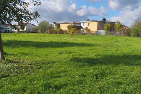 Auf der Wiese vor der Bachwiesenschule soll die neue Kita Hergershausen gebaut werden. © Ulrike Bernauer