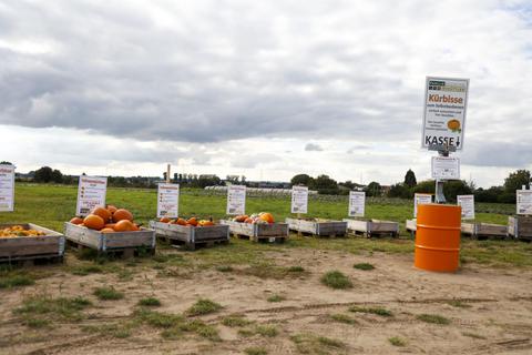 Von diesem Verkaufsstand von Landwirt Schüttler südlich des Verkehrskreisels bei Pfungstadt in Richtung Jugenheim werden immer wieder Kürbisse gestohlen. Foto: Guido Schiek