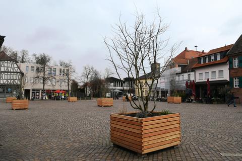 Von den Ende 2022 aufgestellten Pflanzkübeln auf dem Dieburger Marktplatz hält Architekt Günter Schößler, der den Platz vor 30 Jahren neu designte, ebenso wenig wie von einem asphaltierten Streifen übers Pflaster.