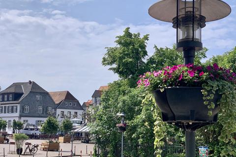 Lilafarbene Petunien und Gundermann-Pflanzen sind rund um einen Laternenpfahl angebracht. Foto: Stadt Dieburg