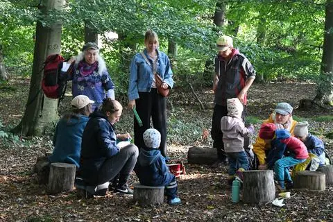 Wald-Kita „Die bunten Vielfalter“ SenseAbilityAcademy Wald-Kita „Die bunten Vielfalter“ SenseAbilityAcademy