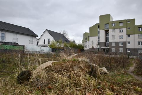 Auf diesem Grundstück am Campus in Dieburg soll im Mai mit dem Bau eines kleinen Studierendenwohnheims begonnen werden.  Foto: Klaus Holdefehr