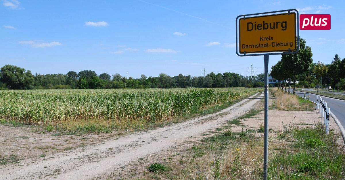 Stadtparlament Dieburg gibt grünes Licht für mehr Wohnraum