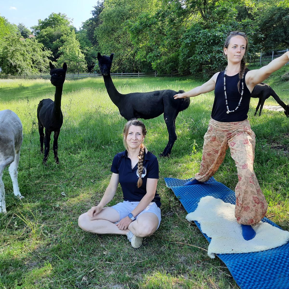 Von Alpaka Yoga und M hditation im Fischbachtal