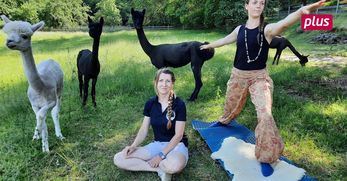 Von AlpakaYoga und „Mähditation“ im Fischbachtal