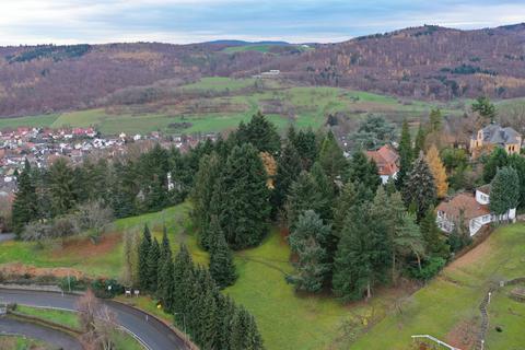 Um die Bebauung für dieses 5600 Quadratmeter große Grundstück in Fischbachtal geht es in der Sitzung der Gemeindevertretung. © Archivfoto: Klaus Holdefehr