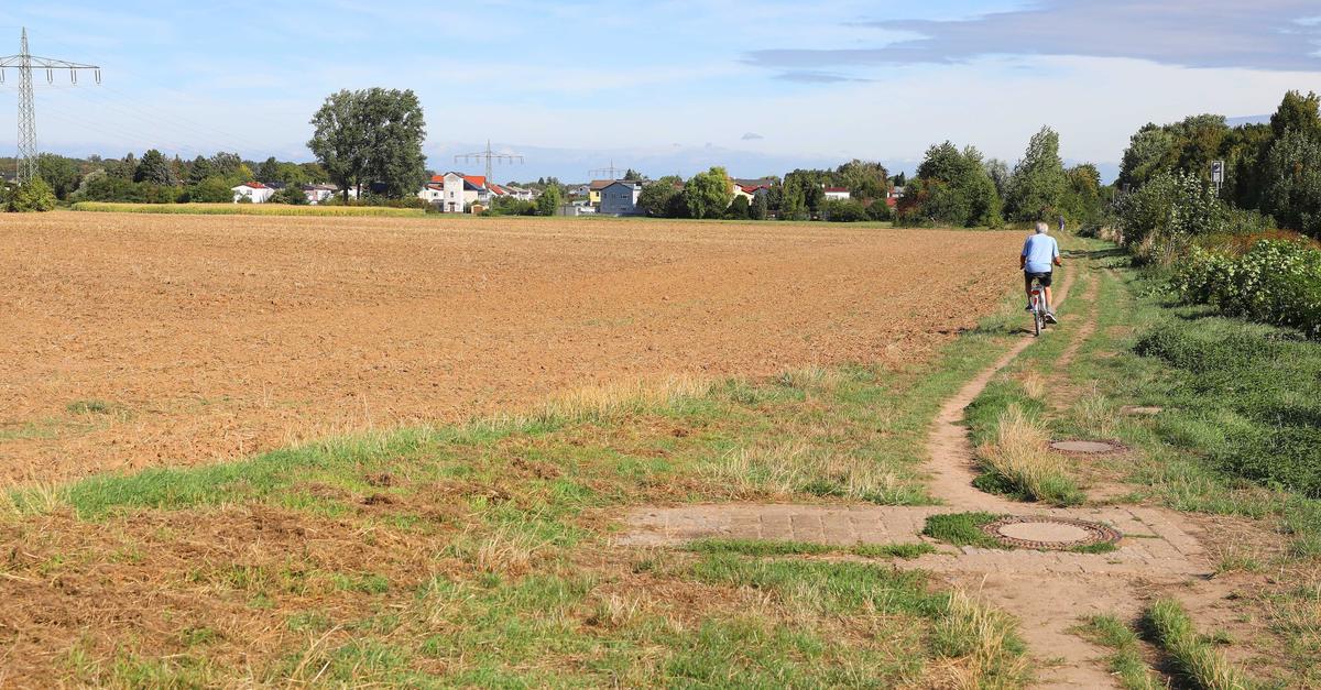 Groß-Umstadt: Der Weg für den Neubau der Ernst-Reuter-Schule ist frei