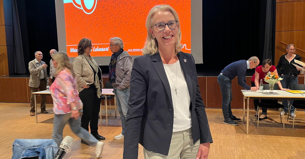 Darmstadt-Dieburg: Frauen zwischen politischem Engagement und Care-Arbeit