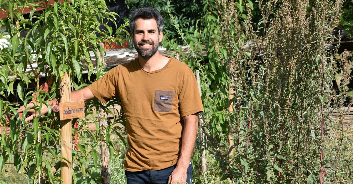 Ein Hof, eine Vision: Selbsternte am Klein-Umstädter Heichelberghof