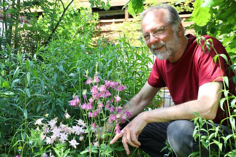 Lothar Jacob mit blühenden Akeleipflanzen, die sich wild angesiedelt haben und den Insekten Nahrung bieten. Ulrike Bernauer