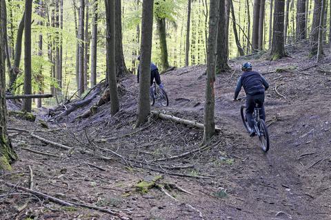 Illegale Mountainbike-Trails gibt es viele in Hessen. Das bringt Gefahren mit sich. 