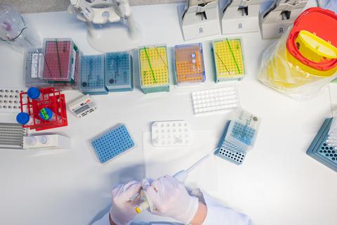 Sequenzierung von positiven PCR-Tests in einem Labor: Im Landkreis trat der erste Omikron-Fall am 7. Dezember auf. Inzwischen macht die Corona-Variante wohl fast die Hälfte der Neuinfektionen aus. Foto: dpa