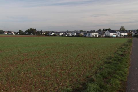 Um diese derzeit landwirtschaftlich genutzte Fläche soll das Gewerbegebiet im Nordwesten von Groß-Umstadt erweitert werden. Foto: Dorothee Dorschel