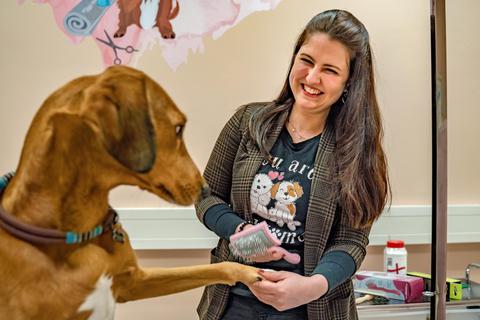 Die neue Hundefriseurin in Weiterstadt, Lisa Carina Roos, hat für ihren Businessplan unter anderem ermittelt, wie viele Hunde es in ihrem Einzugsbereich gibt. © Marc Wickel