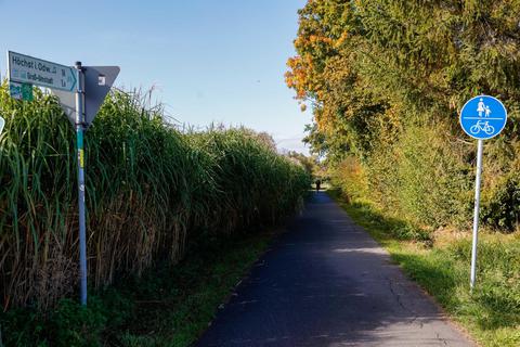 Der Fuß- und Radweg „In den tiefen Wiesen“ ist eine zentrale Verbindung zwischen den Stadtteilen Richen, Klein-Umstadt, Kleestadt und der Kernstadt und soll nach dem Willen der Grünen mit einer adaptiven Solarbeleuchtung ausgestattet werden. Foto: Guido Schiek