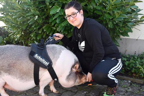 Die Griesheimer Physiotherapeutin Banu Tuna besitzt ein Minischwein, das sie „Schnitzel“ nennt und als Therapiebegleittier mit in ihre Praxis nimmt. Foto: Gudrun Hausl