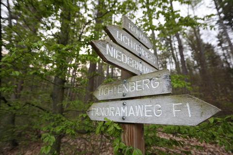Auf dem Panoramaweg FI1 im Fischbachtaler Wald sollten neue Strecken für Mountainbiker ermittelt werden. Doch ein Sinneswandel und neue Kräfteverhältnisse in der Gemeindevertretung haben nun die Wende gebracht. Melanie Schweinfurth