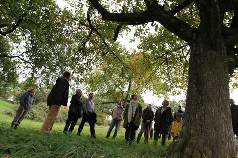 Zu den vielfältigen Veranstaltungen, zu denen der Verein „Fischbachtal kreativ“ in den vergangenen zehn Jahren eingeladen hatte, gehörten auch Exkursionen über die Streuobstwiesen in der Gemeinde. Foto: Melanie Schweinfurth