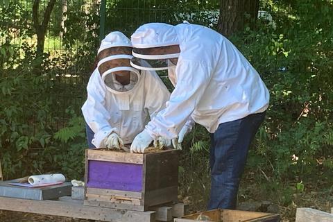 Zwei Roßdörfer Bienenzüchter an einem ihrer Bienenstöcke.  