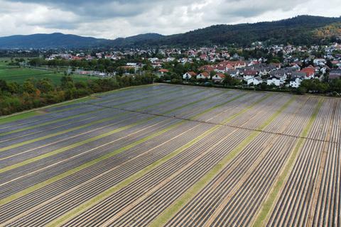 Am Ortsrand von Alsbach soll auf dieser Ackerfläche ein neues Wohngebiet entstehen. Foto: Gemeinde Alsbach-Hähnlein/Sebastian Philipp