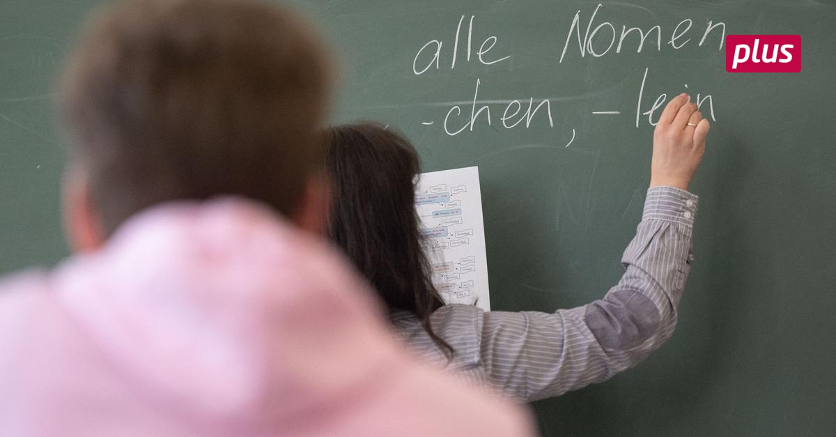 kommentar-zur-rechtschreibung-individuell-f-rdern