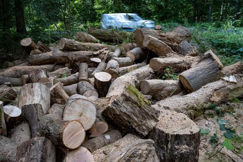Durch die Energiekrise ist auch Brennholz teurer geworden. Um Holzdieben auf die Spur zu kommen, setzen Forstämter und das Holzkontor GPS-Sender ein. Foto: dpa