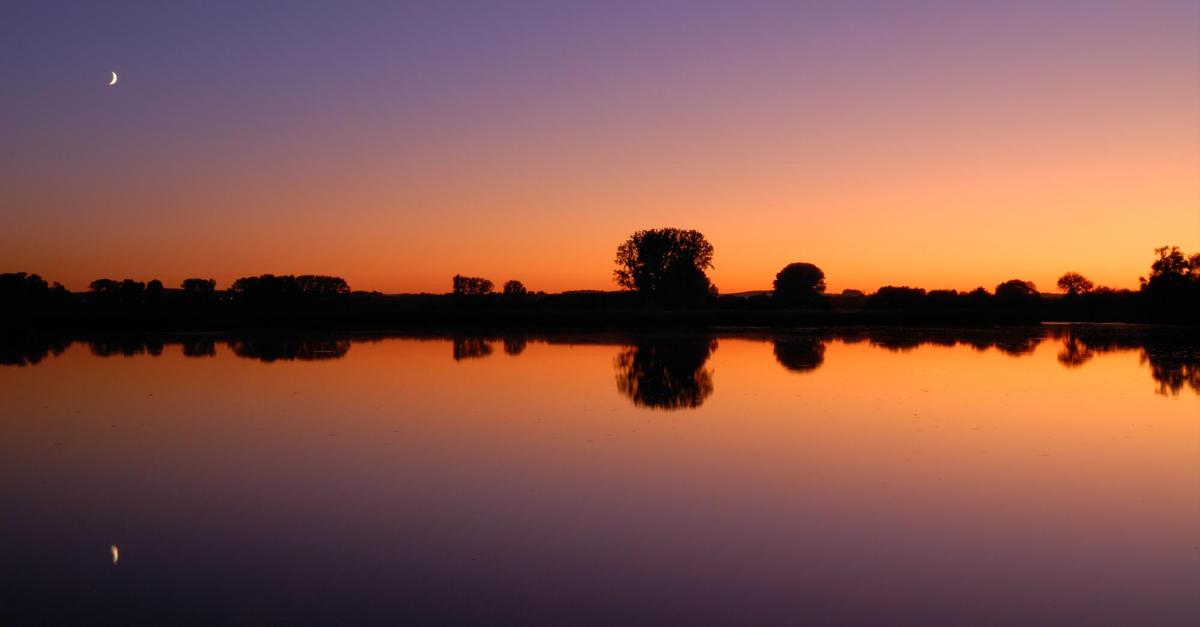Der Reinheimer Teich als Eldorado für Naturfotografen