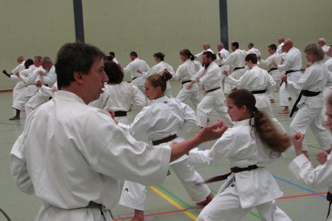 Karate-Bundestrainer Efthimios Karamitsos (links) während seines Lehrgangs in der Sporthalle an der Seeheimer Sandstraße. Jürgen Buxmann