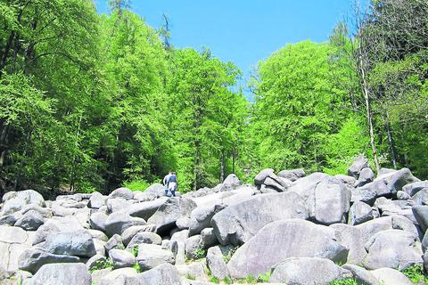 Der Klimawandel und die vielen Besucher machen dem Wald am Felsenmeer im Lautertal zu schaffen. Der Nabu will mithilfe einer Petition dem Wald mehr Schutz zukommen lassen. Archivfoto: Schiek