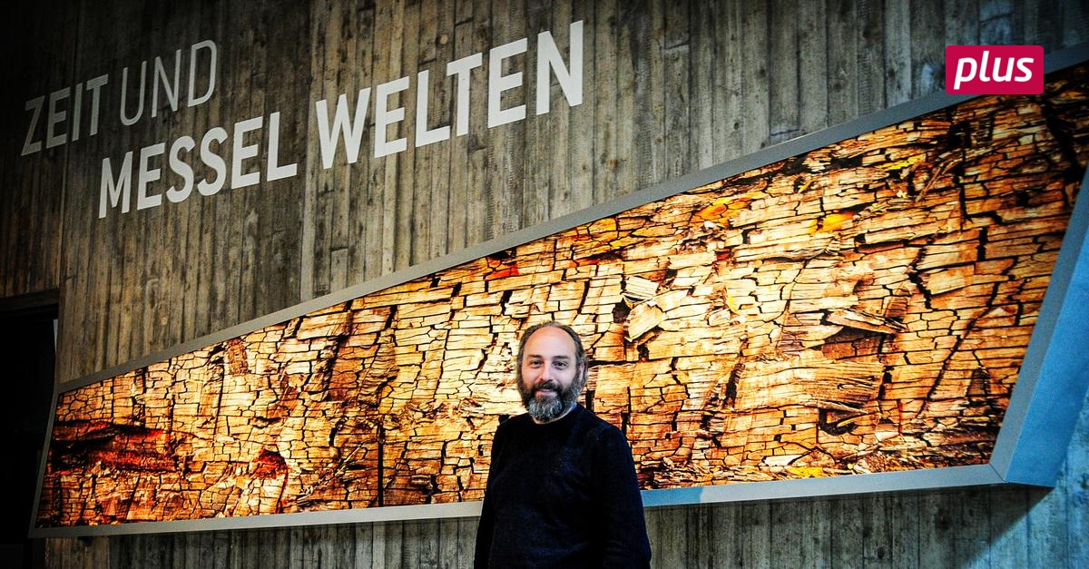 Vierwöchiges Praktikum In Der Grube Messel“ – NTRJT