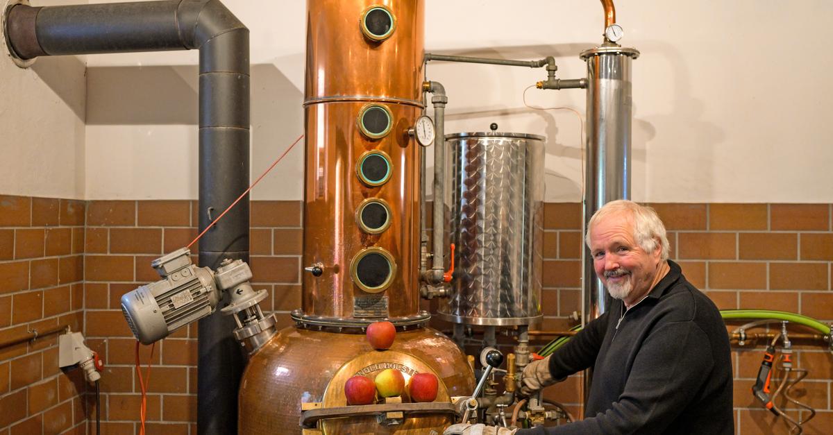 Apple wine from Darmstadt-Dieburg: Record harvest ensures high quality