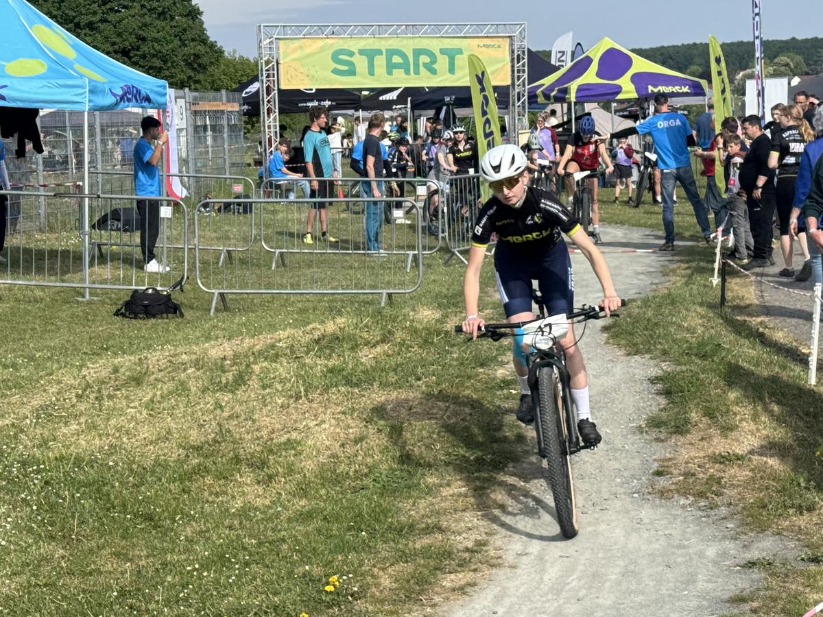 mountainbike sattelstütze gefedert TerrainMate für E-Bike, Trekking, MTB, Citybike Federsattelstütze [27,2 / 30,9 / 31,6mmØ] Gefederte Sattelstütze mit 2 Distanzhülsen SoftRide 55-125kg -Ab jetzt Schmerzfrei Sport & Freizeit MGS2 European Extreme... Can Category:City Urban_Shimano Nabendynamo 3W Model:Lava/ChromaPop Sun Red Mirror